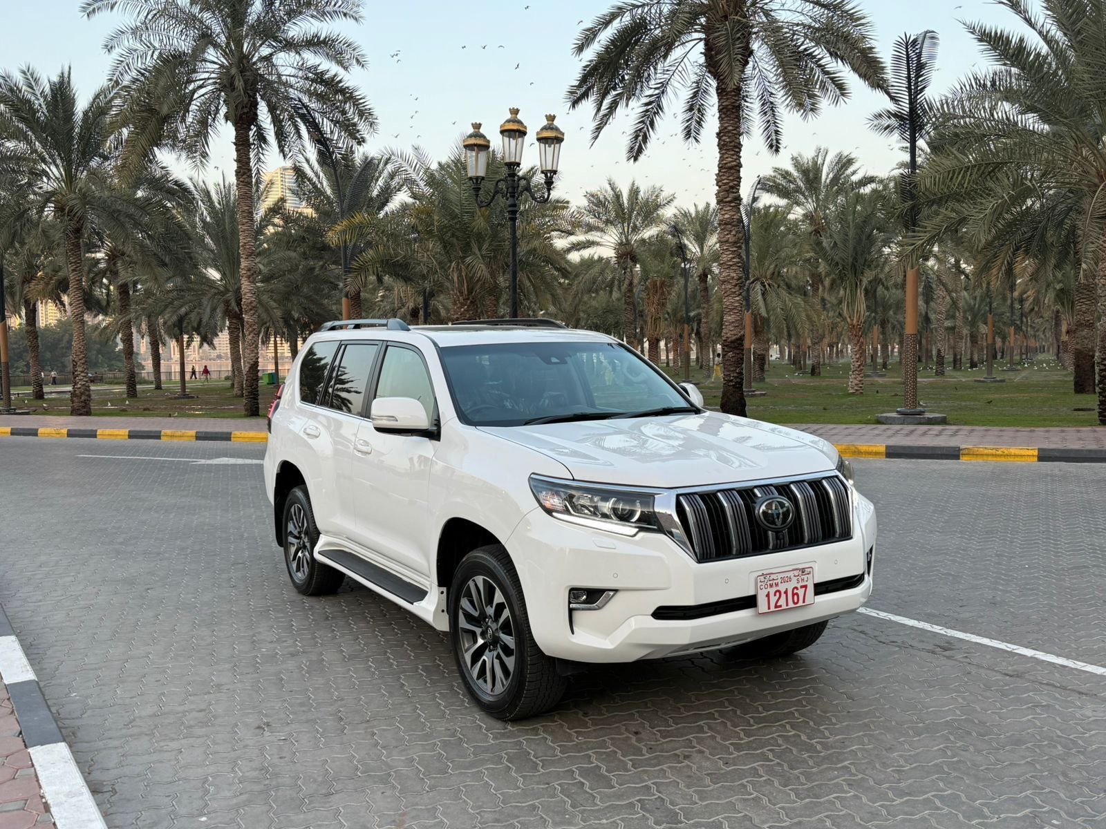 Land  Cruiser Prado VX 2022 White